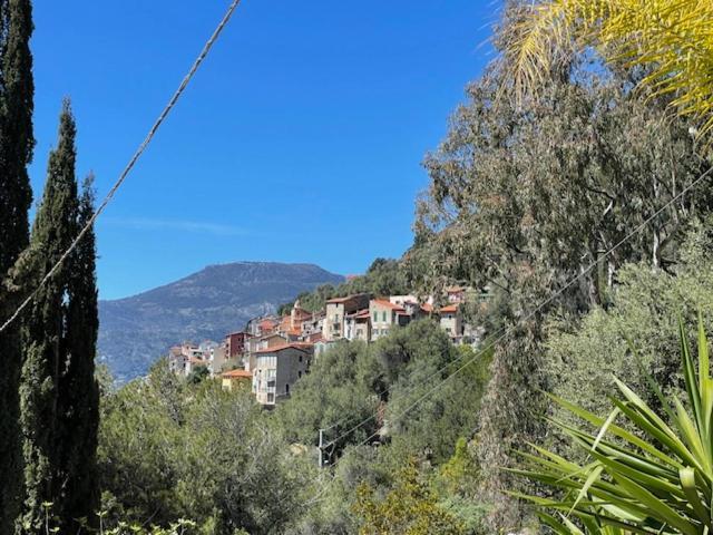 Modern Seaview Villa With Pool Above Monaco Grimaldi  Zewnętrze zdjęcie