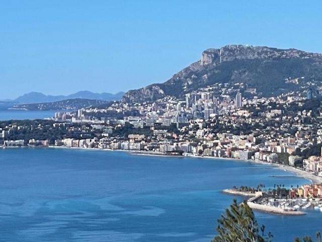 Modern Seaview Villa With Pool Above Monaco Grimaldi  Zewnętrze zdjęcie